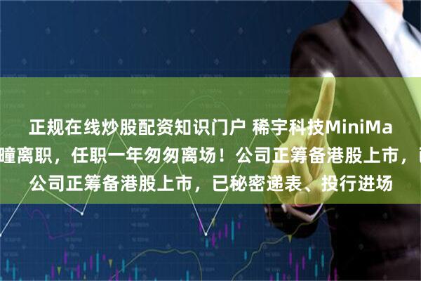 正规在线炒股配资知识门户 稀宇科技MiniMax战略投资负责人魏瀚曈离职，任职一年匆匆离场！公司正筹备港股上市，已秘密递表、投行进场